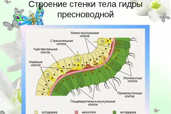 Kraken пользователь не найден при входе