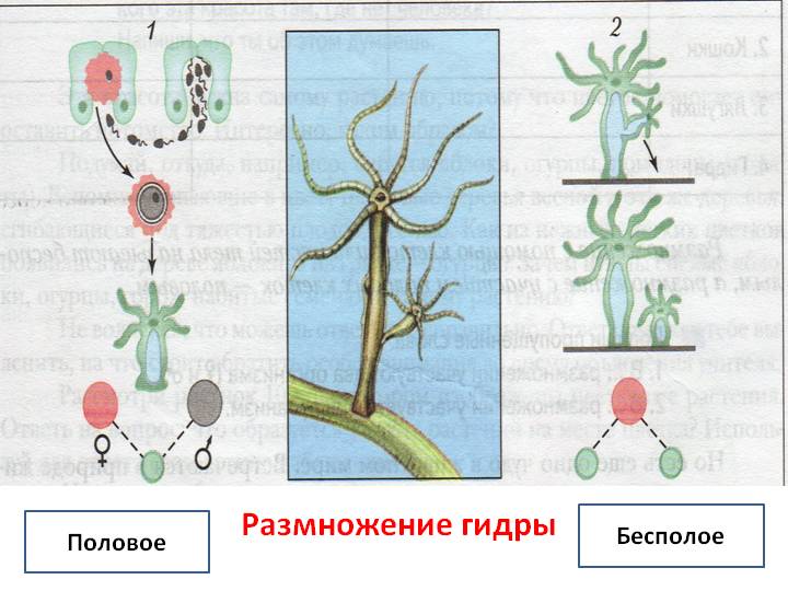 Как перейти на кракен